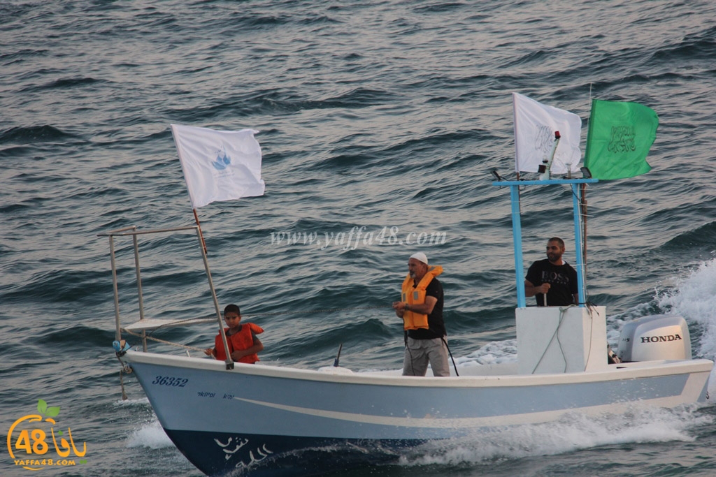 iste3rad sayaden yaffa (34).JPG